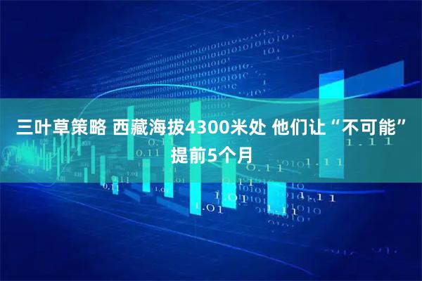 三叶草策略 西藏海拔4300米处 他们让“不可能”提前5个月